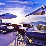 White Pearl Cavalieri (adults Only) 3*
