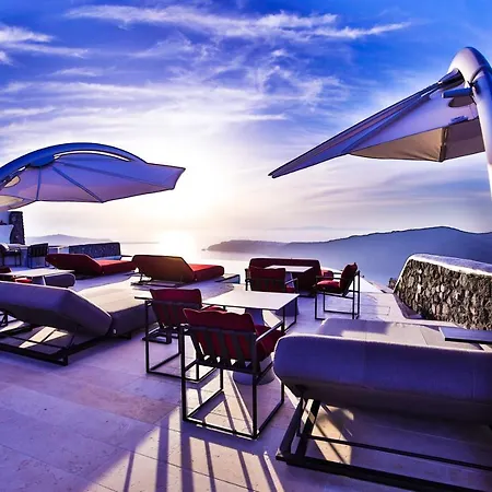 White Pearl Cavalieri (adults Only) 3*