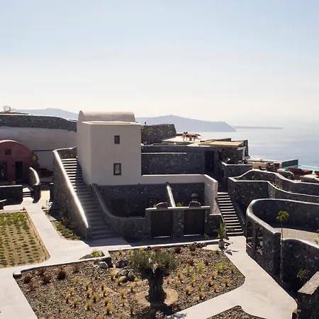 White Pearl Cavalieri (adults Only) 3*