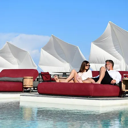 White Pearl Cavalieri (adults Only)