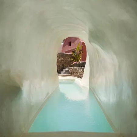 White Pearl Cavalieri (adults Only) 3*