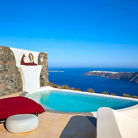 White Pearl Cavalieri (adults Only)