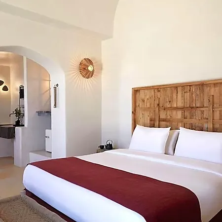 White Pearl Cavalieri (adults Only) 3* אימרוביגלי