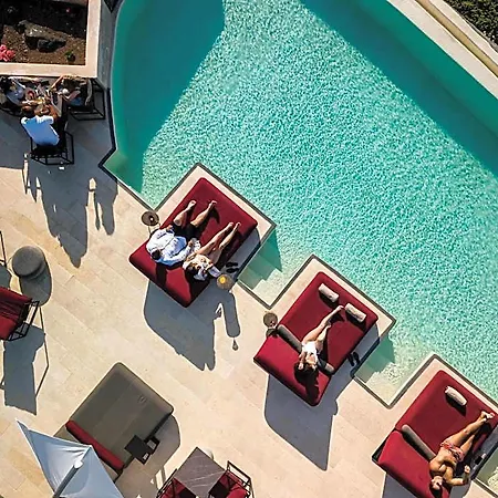 White Pearl Cavalieri (adults Only) 3*