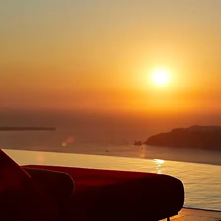 White Pearl Cavalieri (adults Only) 3*