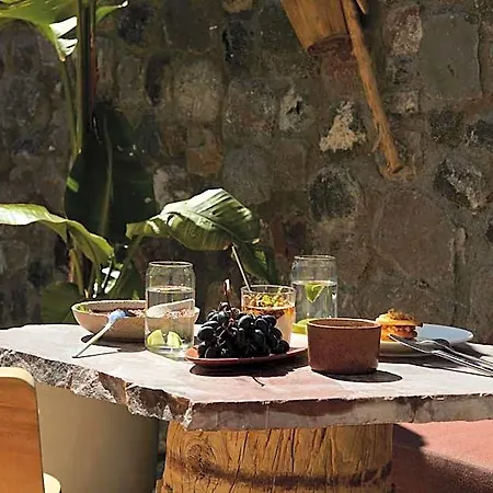 White Pearl Cavalieri (adults Only) 3*