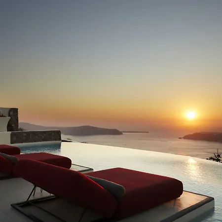 White Pearl Cavalieri (adults Only) 3* 이메로비글리
