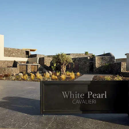 White Pearl Cavalieri (adults Only) 3* 이메로비글리