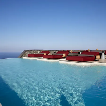 White Pearl Cavalieri (adults Only)