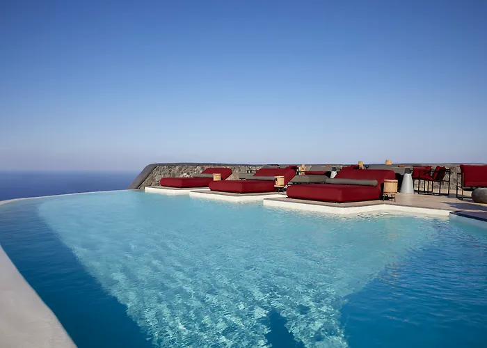 White Pearl Cavalieri (adults Only)